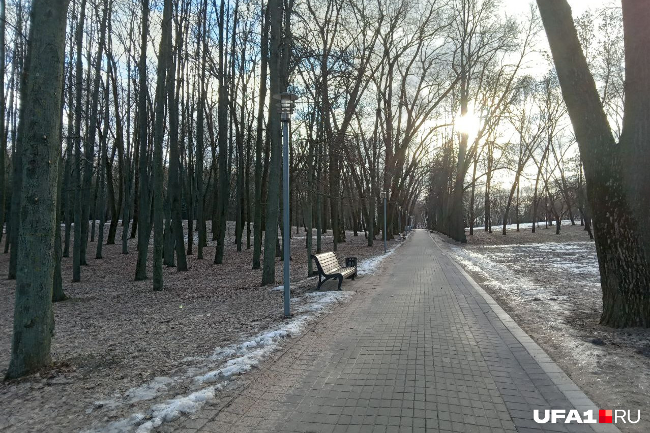 Тропинка в Парке Победы