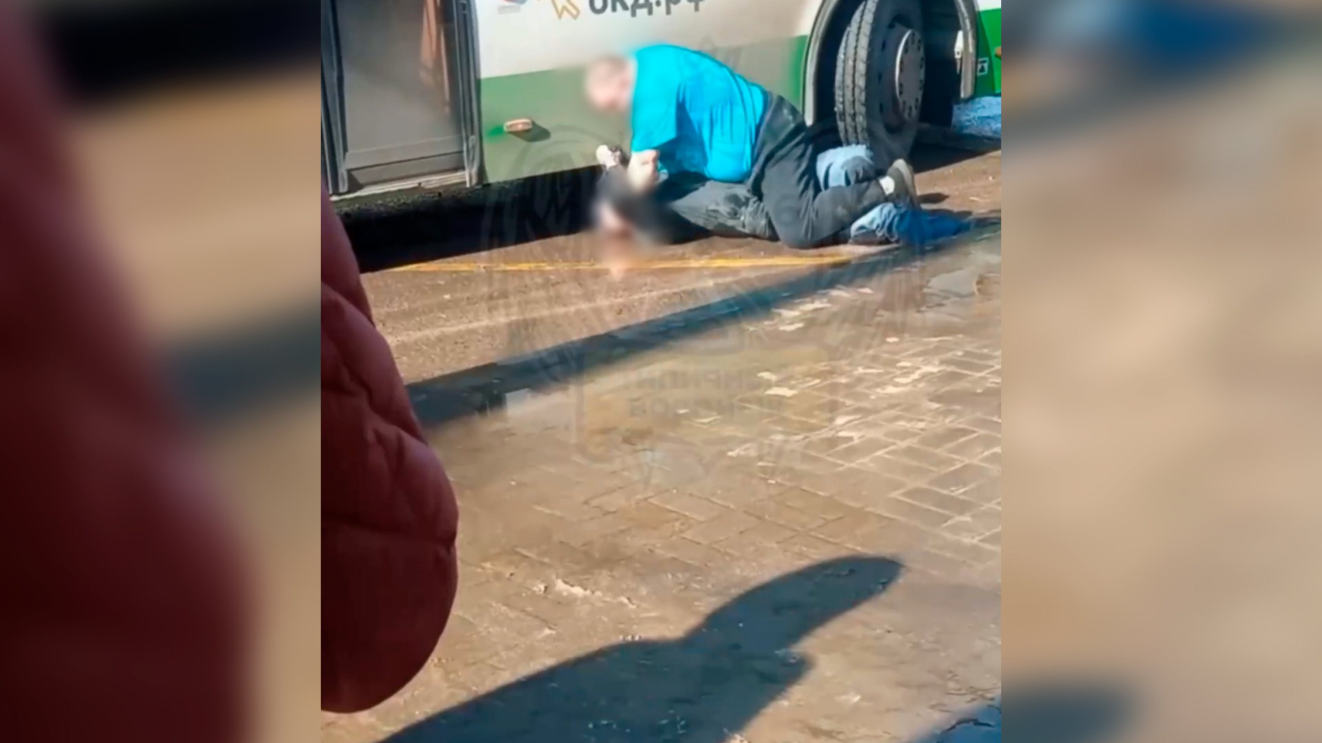 В Воронеже попала на видео очередная драка водителя автобуса и пассажира: маршрутчик душил мужчину на остановке