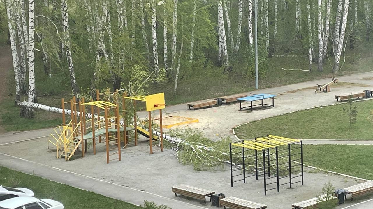 Большое дерево упало на детскую площадку в Челябинске