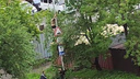 Мужчина в трусах залез на столб во Владивостоке