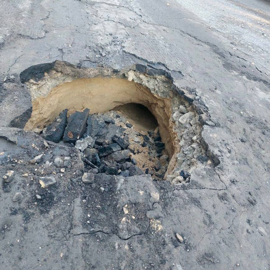 Сняв асфальт на дороге в Пупышево, рабочие обнаружили бобриный «подкоп»
