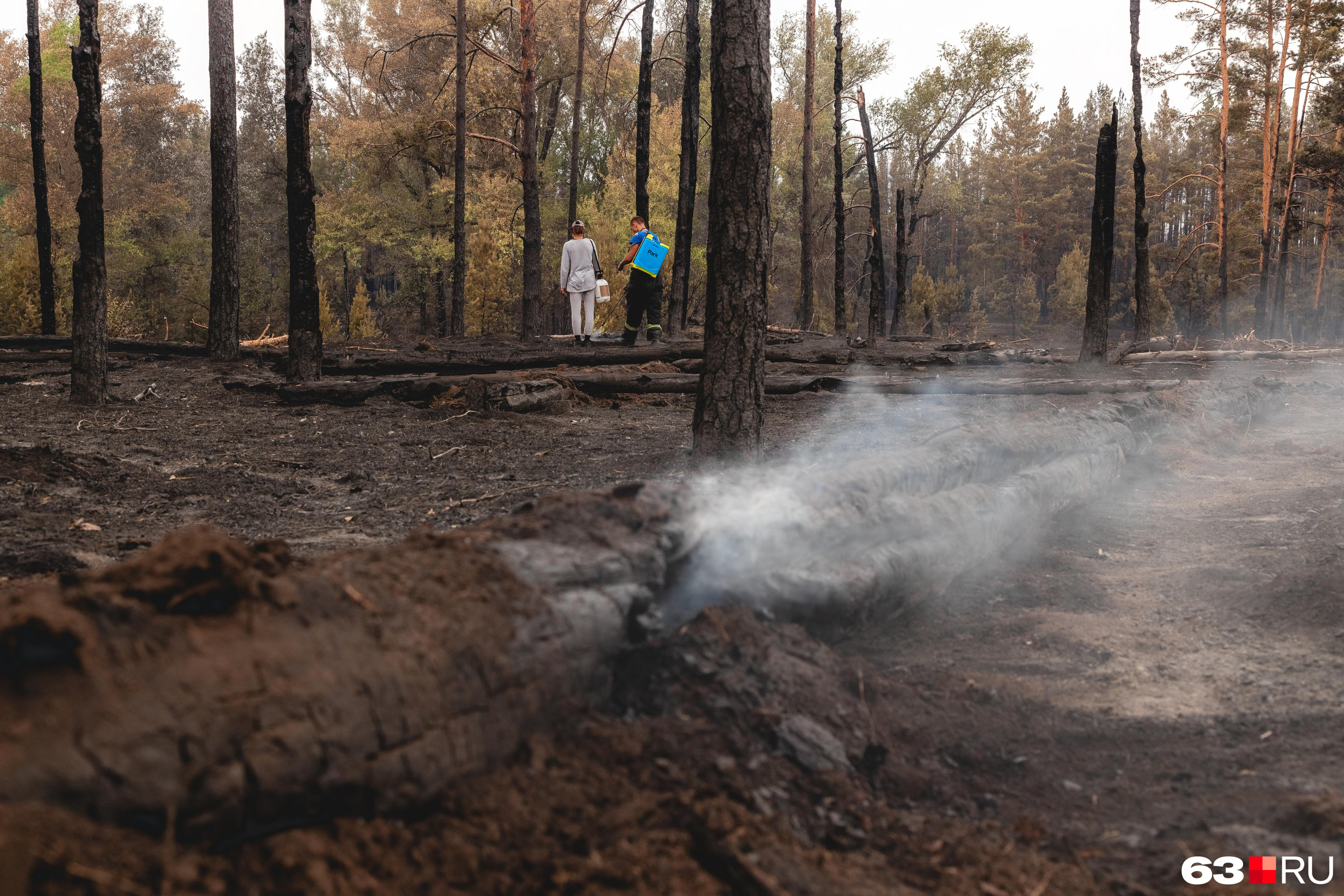 Лес загорелся в трех районах Забайкалья