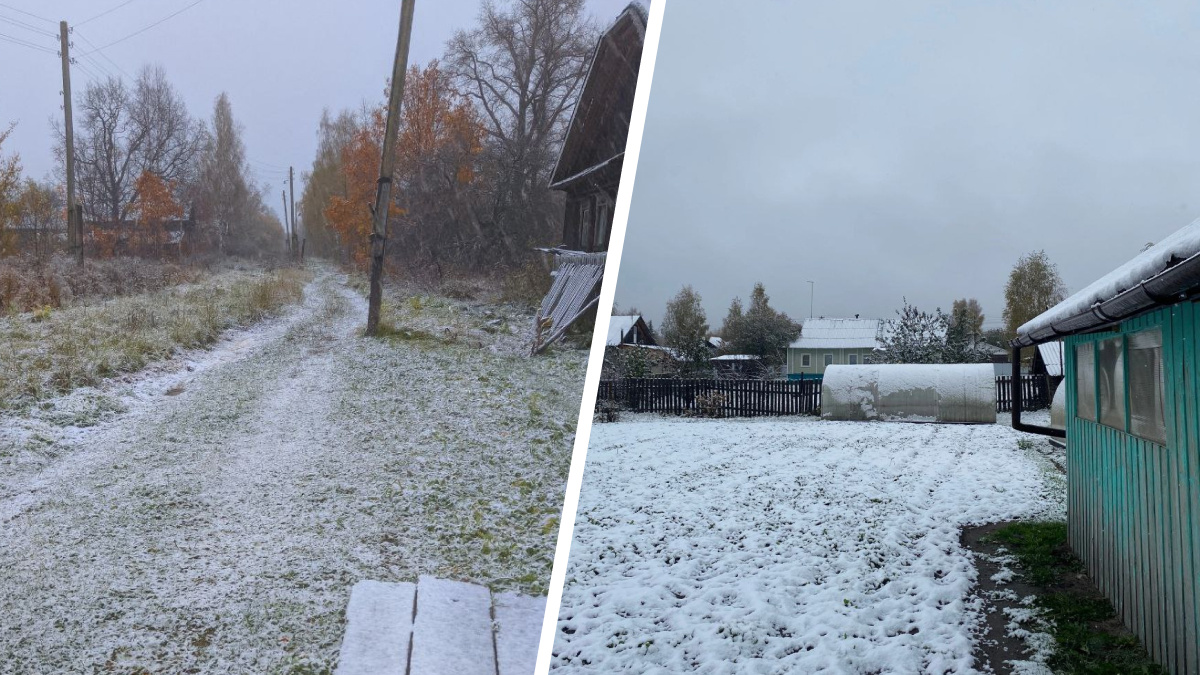 На севере Нижегородской области выпал первый снег. Смотрим фото