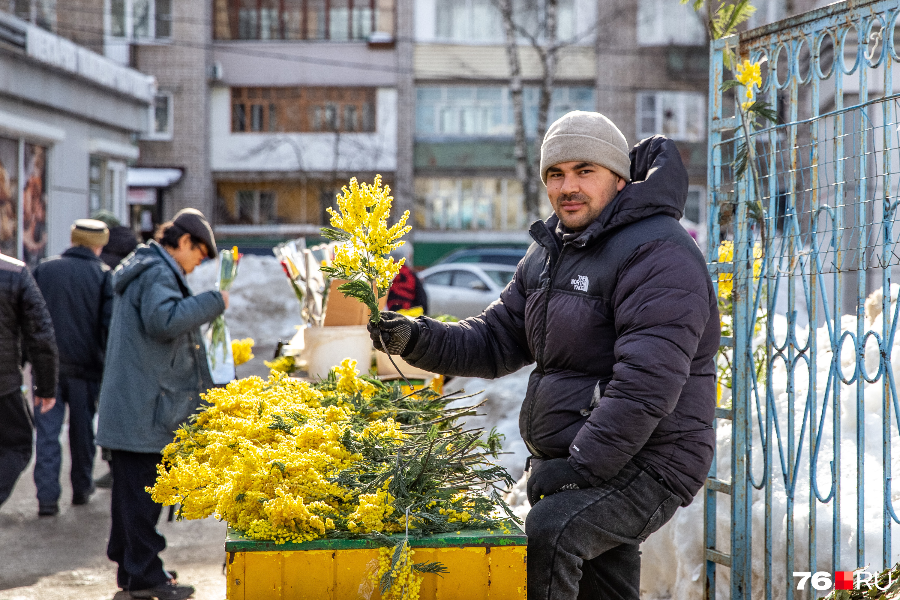 Осиек городской фестиваль. Фестиваль город улиц. Городской праздник. Уличный фестиваль в лесу. Уличный кинотеатр.