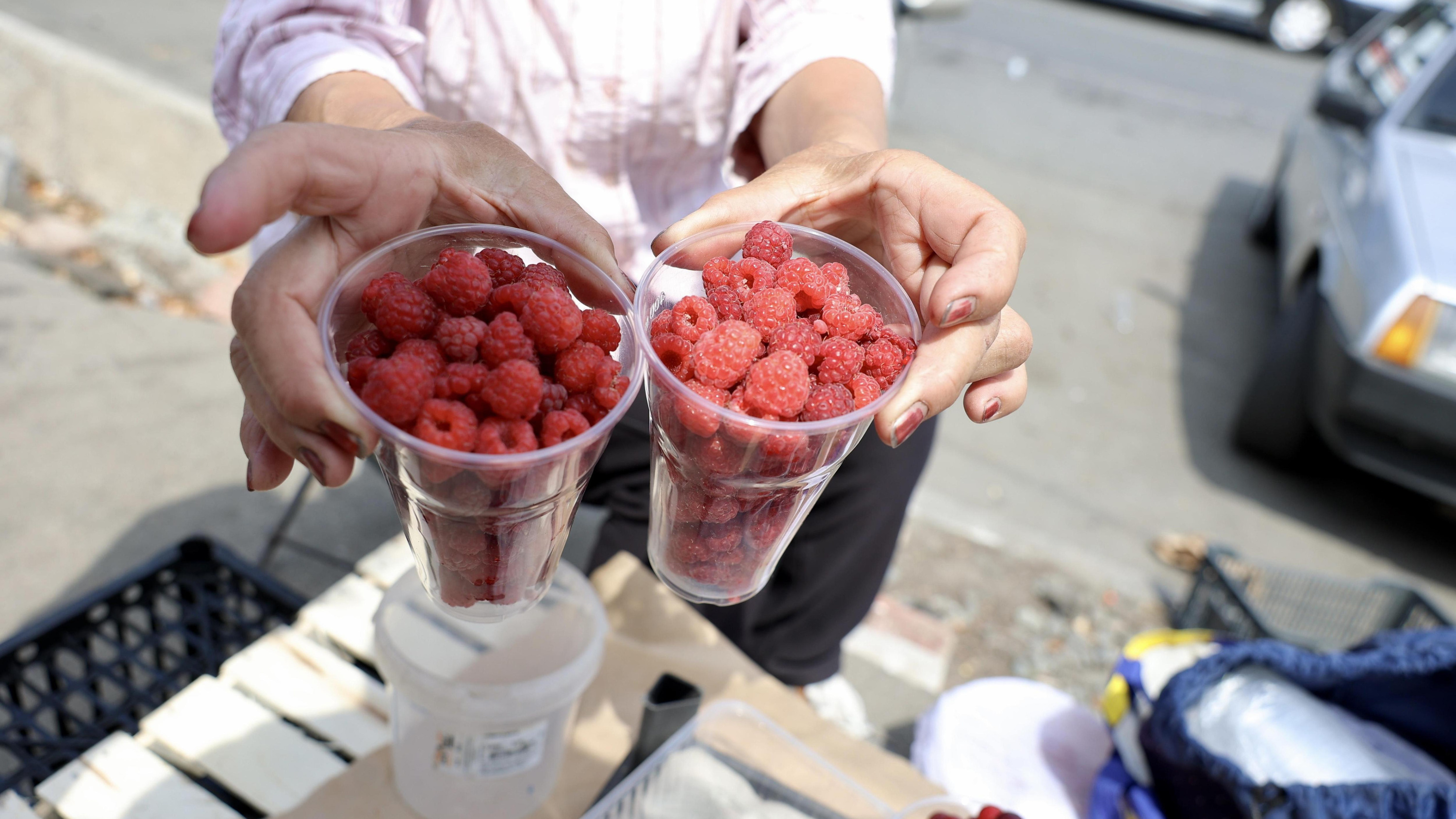 «Употребляли запрещенные ягоды и фрукты»: в лагере на Южном Урале объяснили причину массового отравления детей
