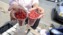 «Употребляли запрещенные ягоды и фрукты»: в лагере на Южном Урале объяснили причину массового отравления детей