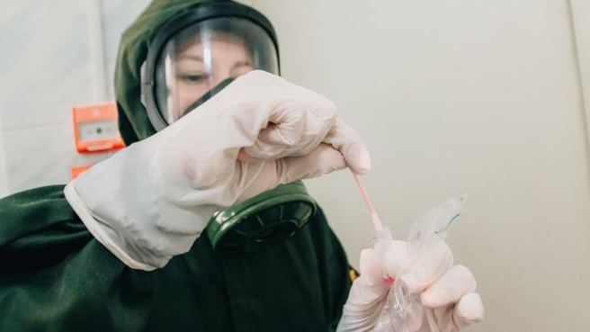 Может вызывать рак: в Самарской области ввели карантин из-за опасного вируса