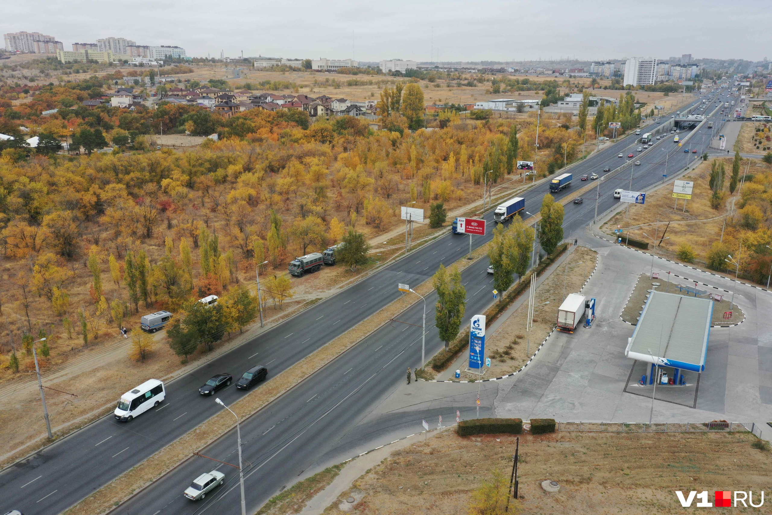 Деревья возле которых мы расположились одиноко. Дерево анчар в армении. Одинокое дерево на холме. Дерево-людоед анчар. Одинокое дерево и человек.