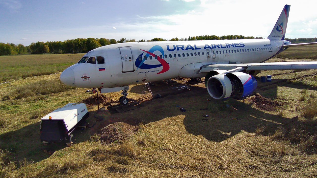 «Уральские авиалинии» заявили, что собираются летать на самолете, который сел в пшеничном поле