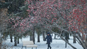 Снова зима. После затяжной оттепели в Новосибирске повалил снег — 7 уютных фото