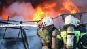 Очищение огнем: рассказываем всё про пожар на Кировском рынке, уничтоживший незаконные павильоны