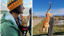«Мирон отъелся на бурятском супе»: удивительные приключения россиянки и ее кота, которые вместе путешествуют по Сибири