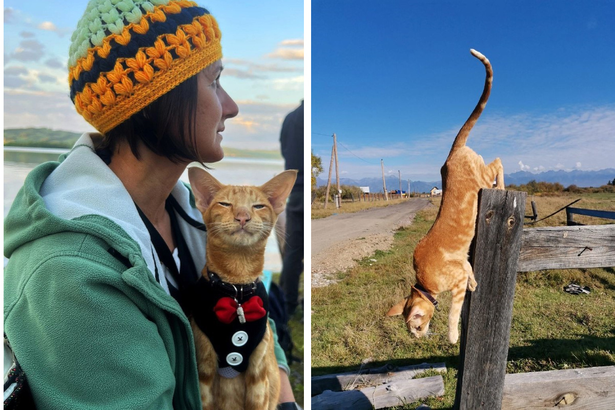 «Мирон отъелся на бурятском супе»: удивительные приключения россиянки и ее кота, которые вместе путешествуют по Сибири