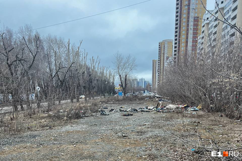 «Годами копятся отходы». В Екатеринбурге возле больницы разрослась стихийная помойка