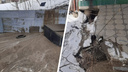 «Поток воды и песка»: новосибирец пожаловался на состояние моста у ЖК— видео