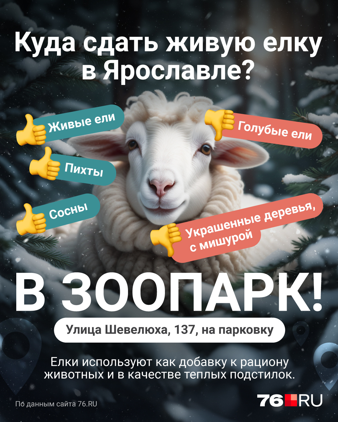 Куда сдать живую елку на переработку в Ярославле: адрес, график работы - 9  января 2024 - 76.ru