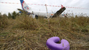 Хозяин поля считает ущерб: что будет с самолетом, который сел в новосибирскую пшеницу