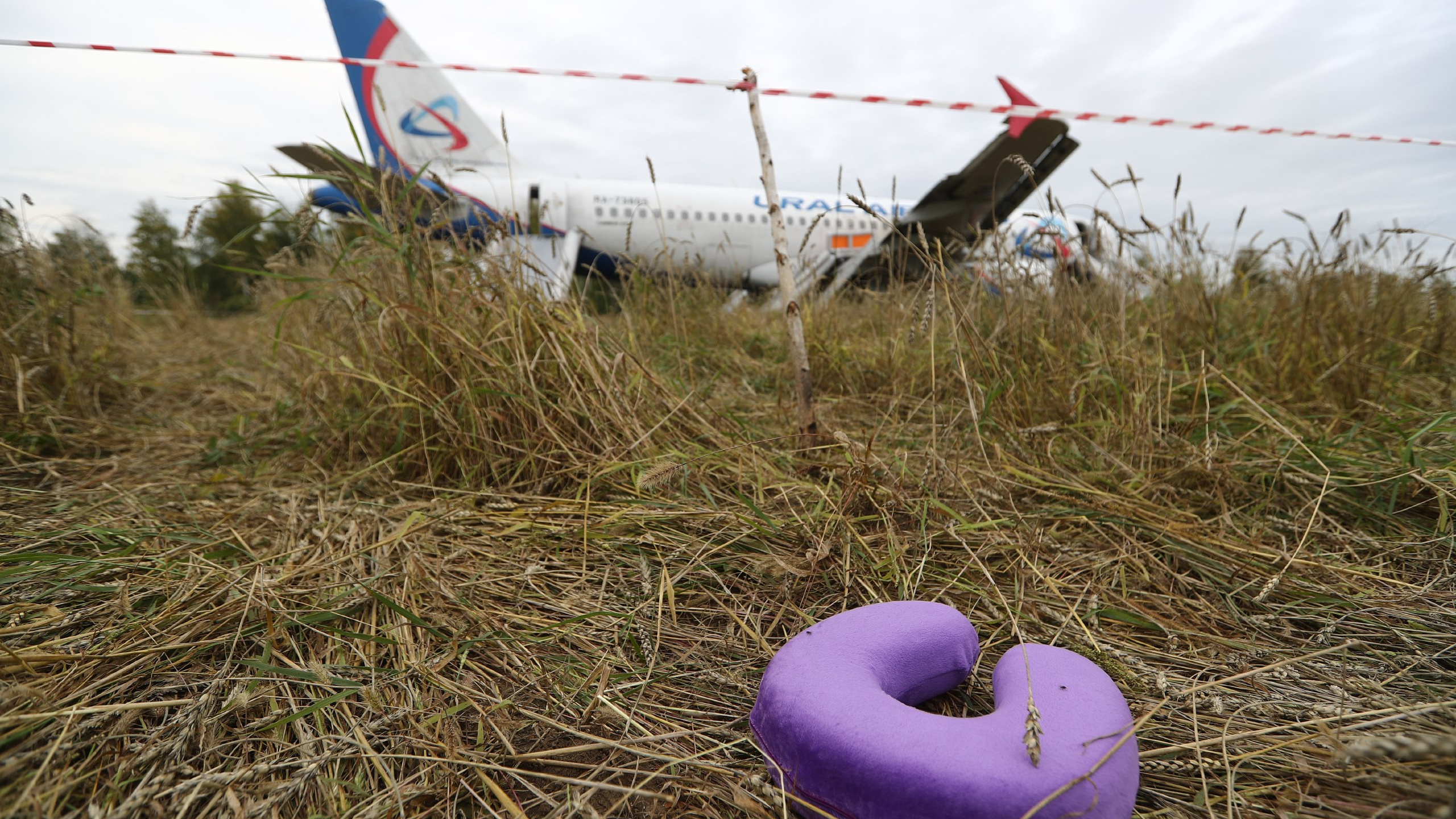 «Взлетная полоса — это дорого»: севший в новосибирском поле самолет могут разобрать и отправить в утиль