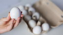 Приморье не обеспечивает себя яйцами полностью — 46% продукта приходится завозить из других регионов