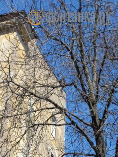 Петербургского Карлсона сняли с крыши дома в центре города, но разговор не вышел
