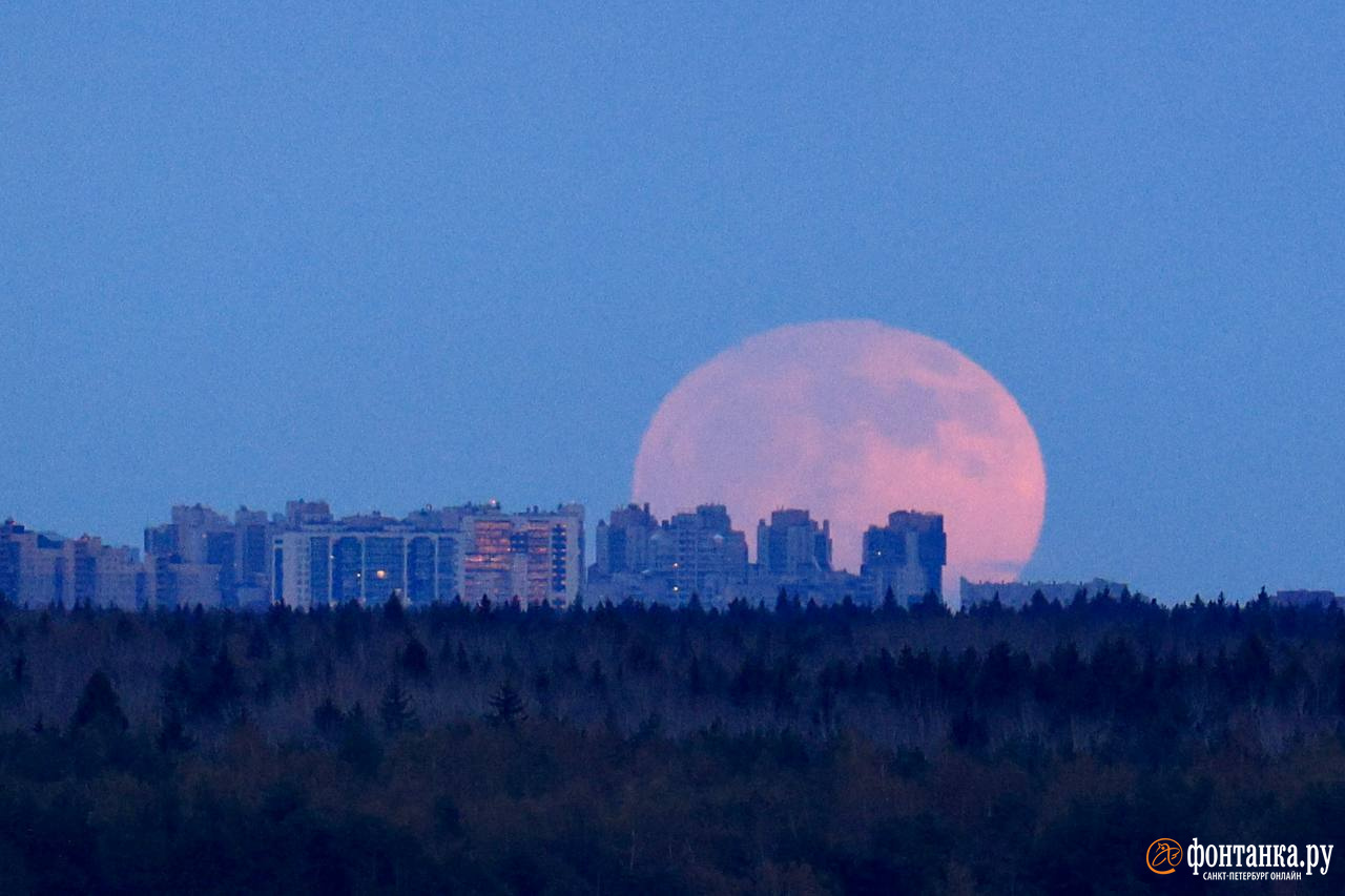 Фото Луны. Большая Луна в Питере. Полнолуние фото. Луна над Петербургом фото.