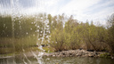 Водные чаши, завеса у пруда и плеск в лесу: разглядываем впечатляющие новосибирские водопады — четыре видео