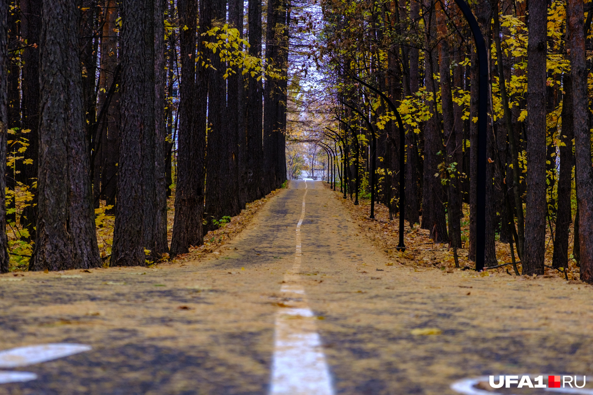 Краски осени