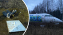 «Даже колеса увезли»: стоящий в лесу самолет под Ярославлем растащили на металлолом