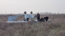 Следователи озвучили предварительную причину крушения самолета под Волгоградом
