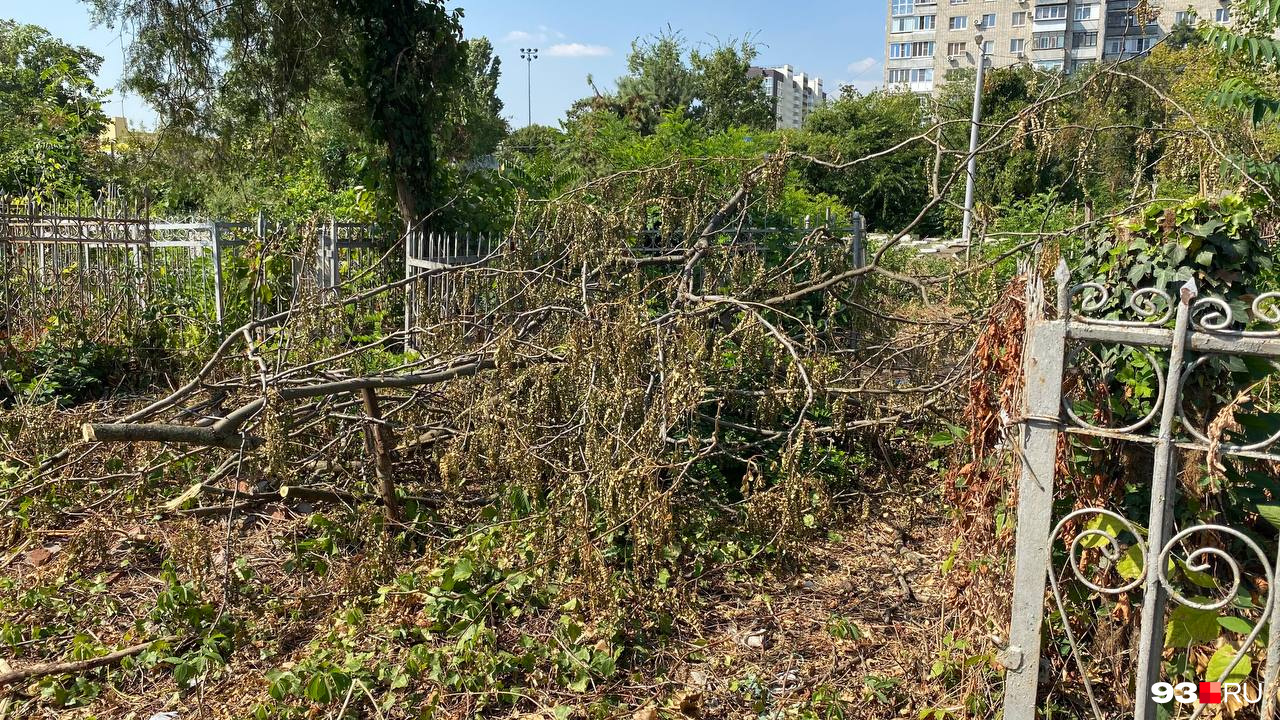 Зеленый лес на кладбище полностью уничтожен Зеленый лес на кладбище полностью уничтожен
