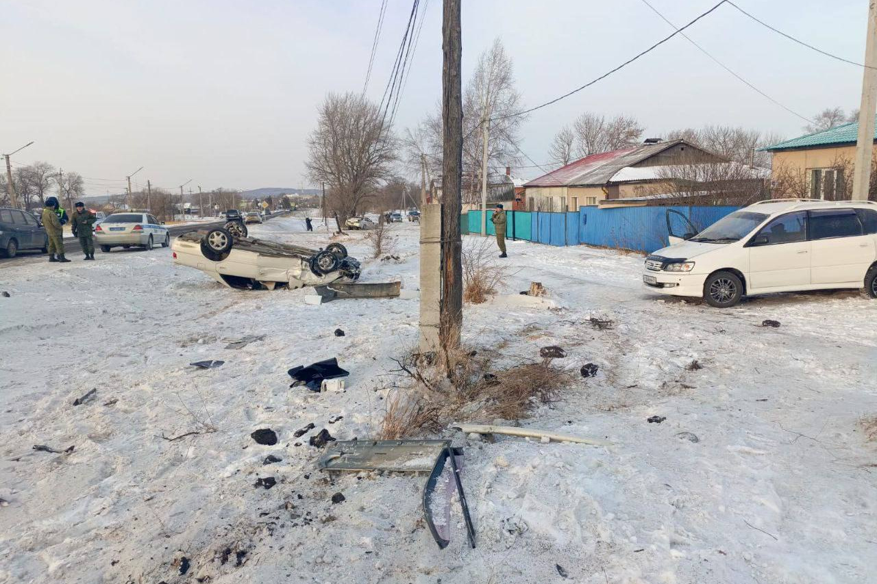 Дело мишель мартинко. Скелетированные останки в лесу. Раскрыли преступление спустя много лет. Раскрыли преступление спустя много лет. Раскрыли преступление спустя много лет.