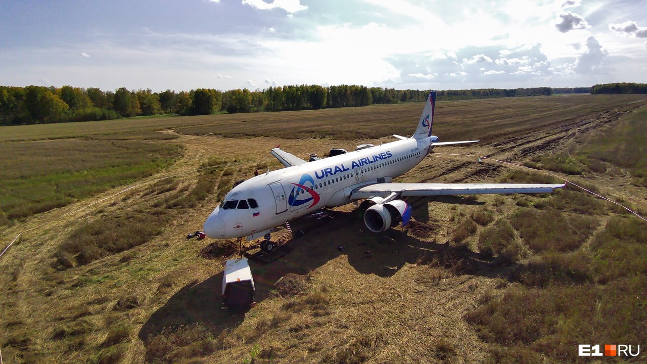Росавиация закончила расследовать посадку самолета «Уральских авиалиний» в пшеничном поле. Главные выводы