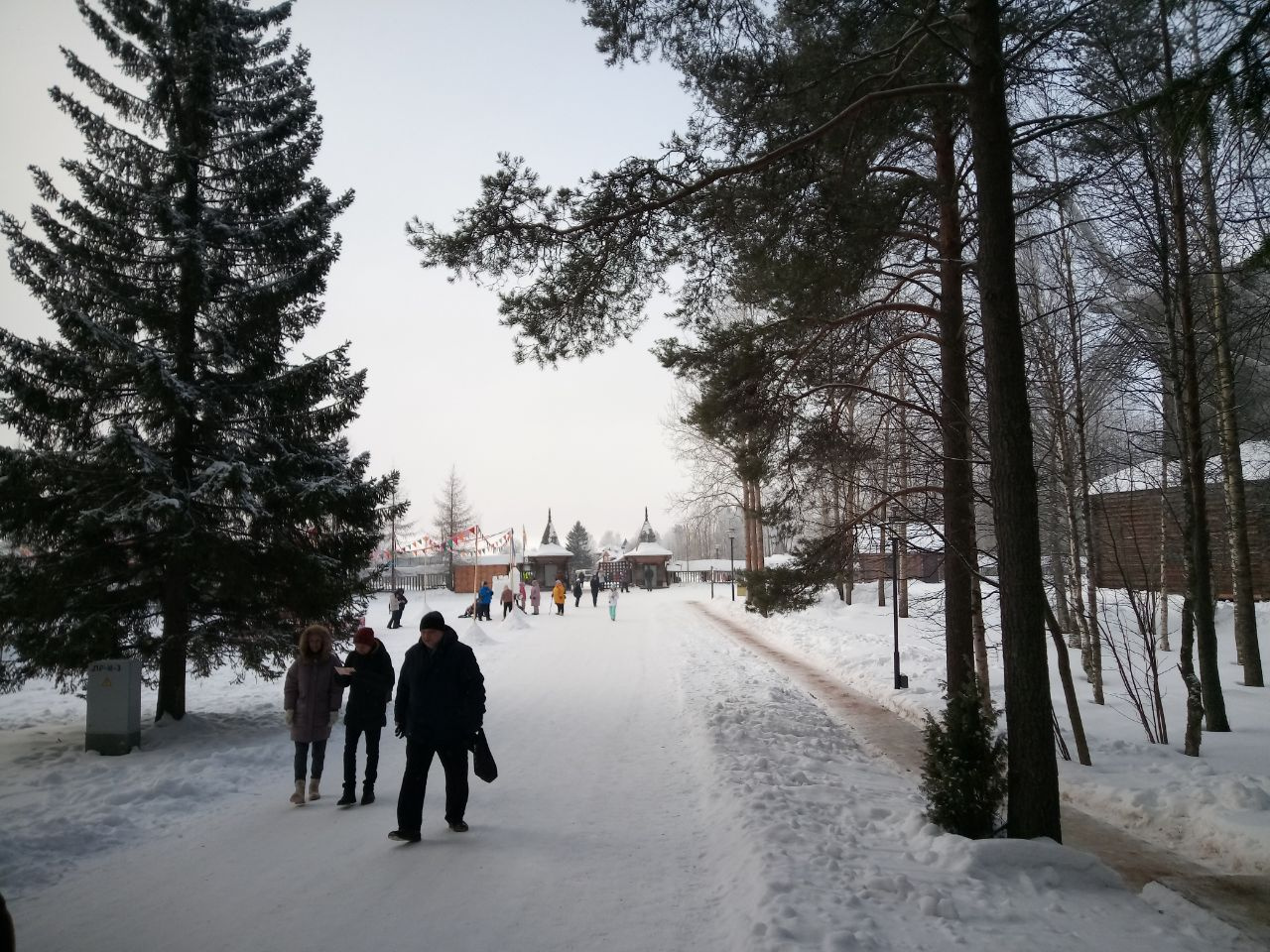 Первые гости Первые гости