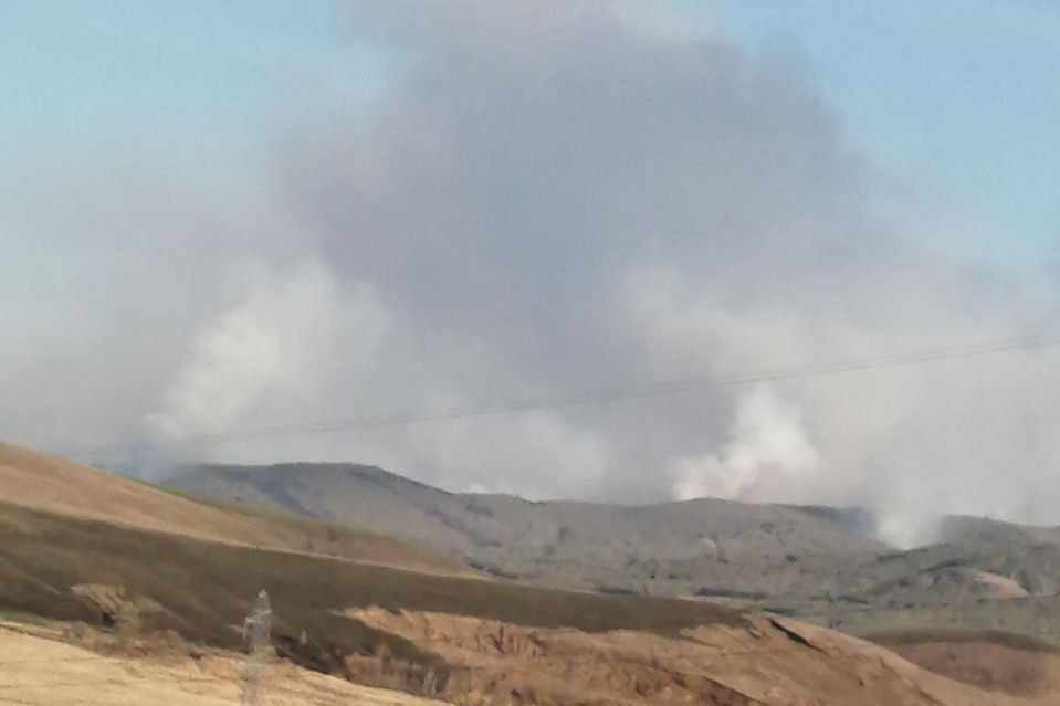 Лесной пожар размером в 34 футбольных поля разгорелся в районе Забайкалья