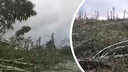 «Деревья как спички ломало, летали»: новосибирцы пугают друг друга «последствиями торнадо» — жуткие видео рассылают в мессенджере