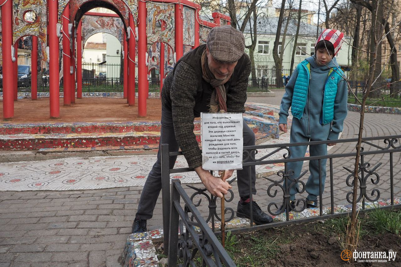 В петербургском дворе пропадают ростки, которые высаживает 10-летний  мальчик - 7 мая 2023 - ФОНТАНКА.ру