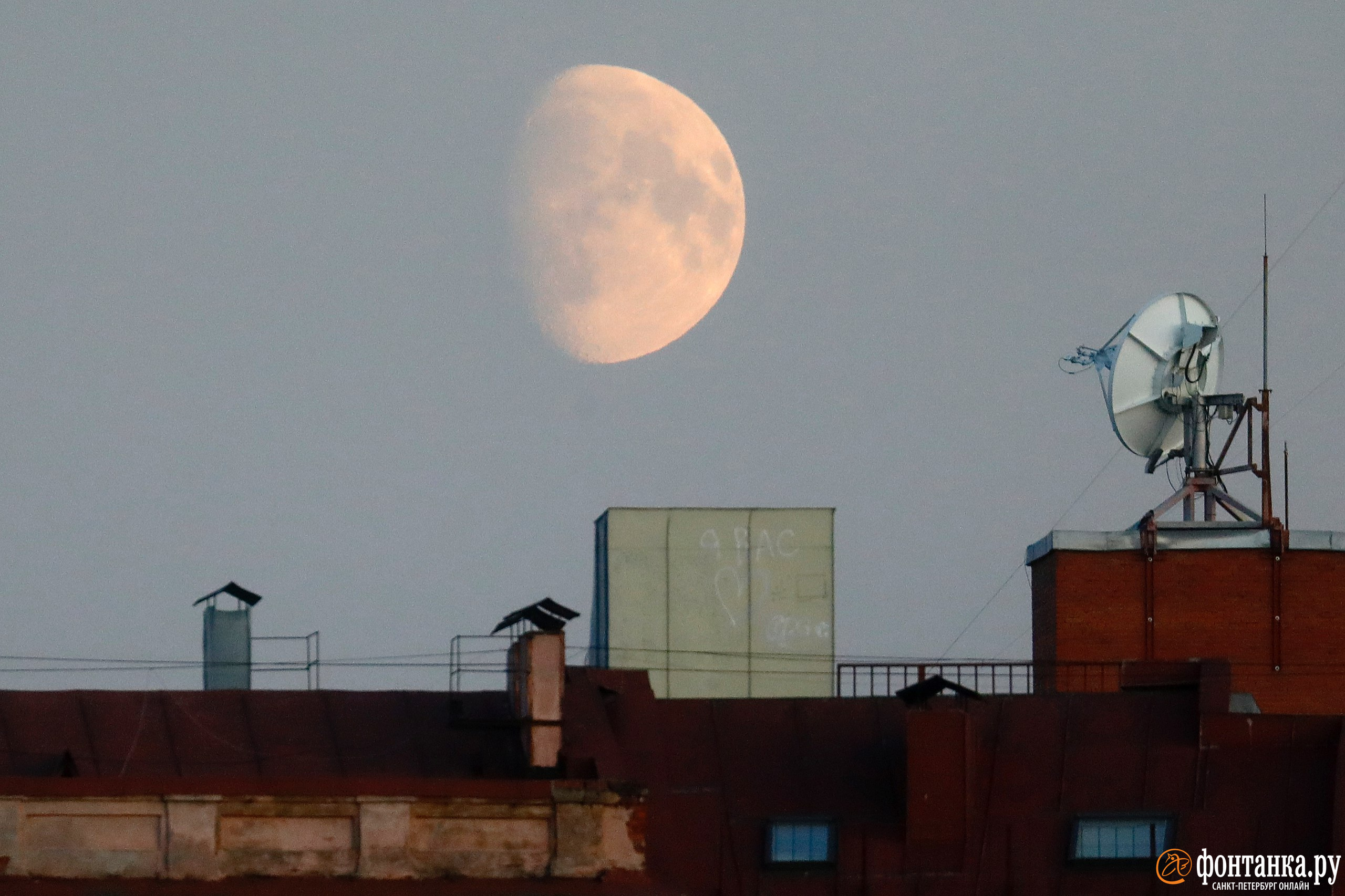 Над петербургскими крышами показалась потрясающая луна. Она сулит успех всем разбуженным