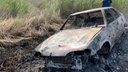 На берегу озера Чаны выгорела машина: в салоне найдено тело <nobr class="_">19-летнего</nobr> парня