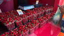 Кислая ягода за бешеные деньги? Где лучше всего покупать клубнику в Москве: обзор MSK1.RU