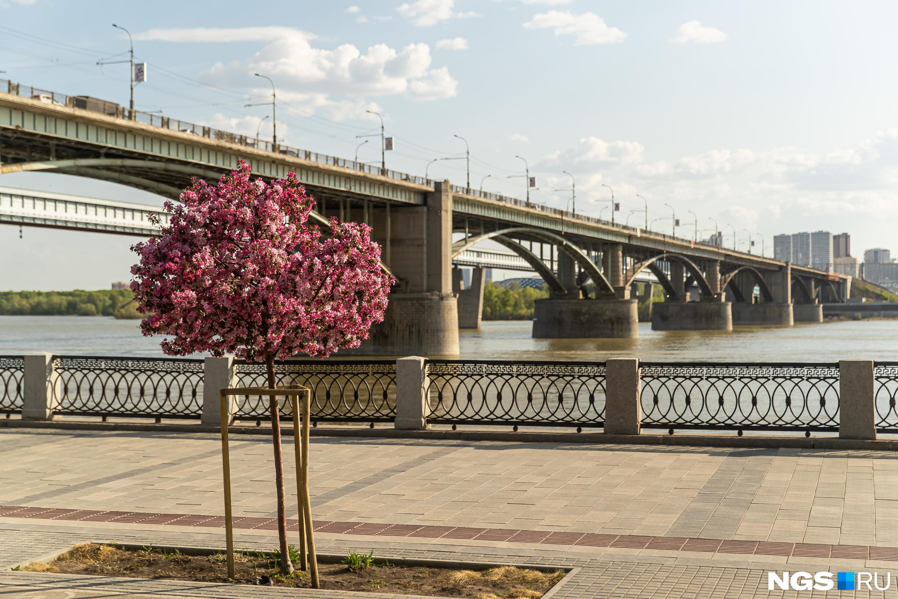 Андрей Травников отмечает, что Новосибирск — гостеприимный город с большим туристическим потенциалом