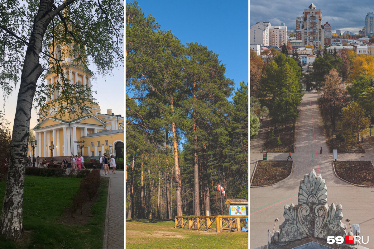 Парки и скверы Перми, где не будет мероприятий в День города - 11 июня 2023 - 59.ru