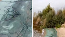 В Ярославле берег Волги покрылся серо-зеленой жижей: что происходит с рекой