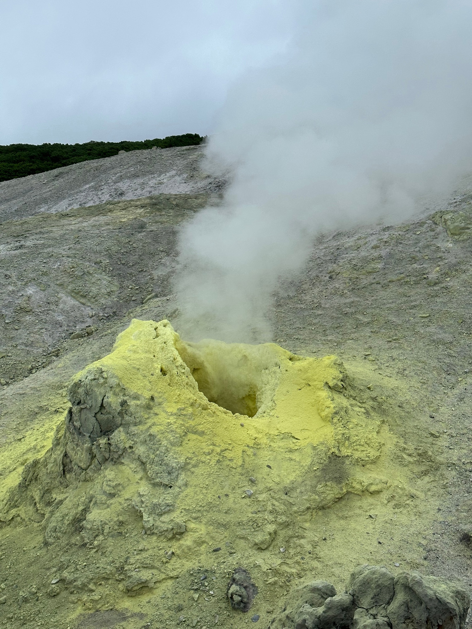 Такие фумарольные поля можно встретить на вулкане Менделеева