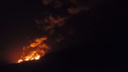 «Там пламя вовсю бушует»: под Волгоградом загорелся лес