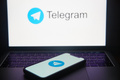     : Telegram, WhatsApp  Viber  