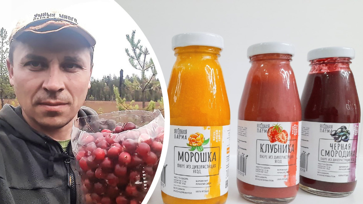 Из леса — на маркетплейс. Предприниматель из Соликамска открыл производство пюре из ягод и вышел с ним на Ozon