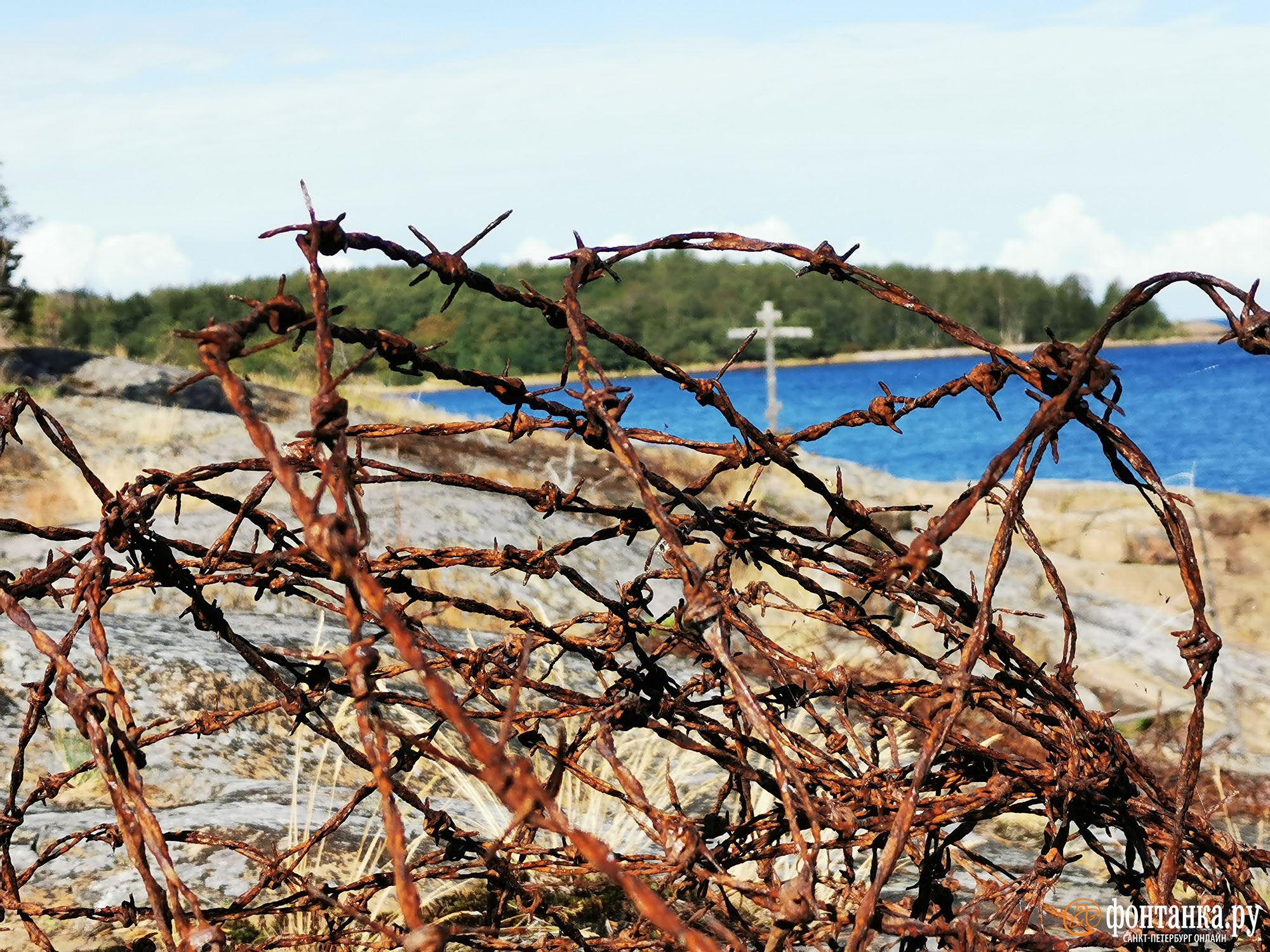 Большая часть побережья Гогланда усыпана проржавевшей колючей проволокой, которая в годы войны и позже в несколько рядов окружала остров