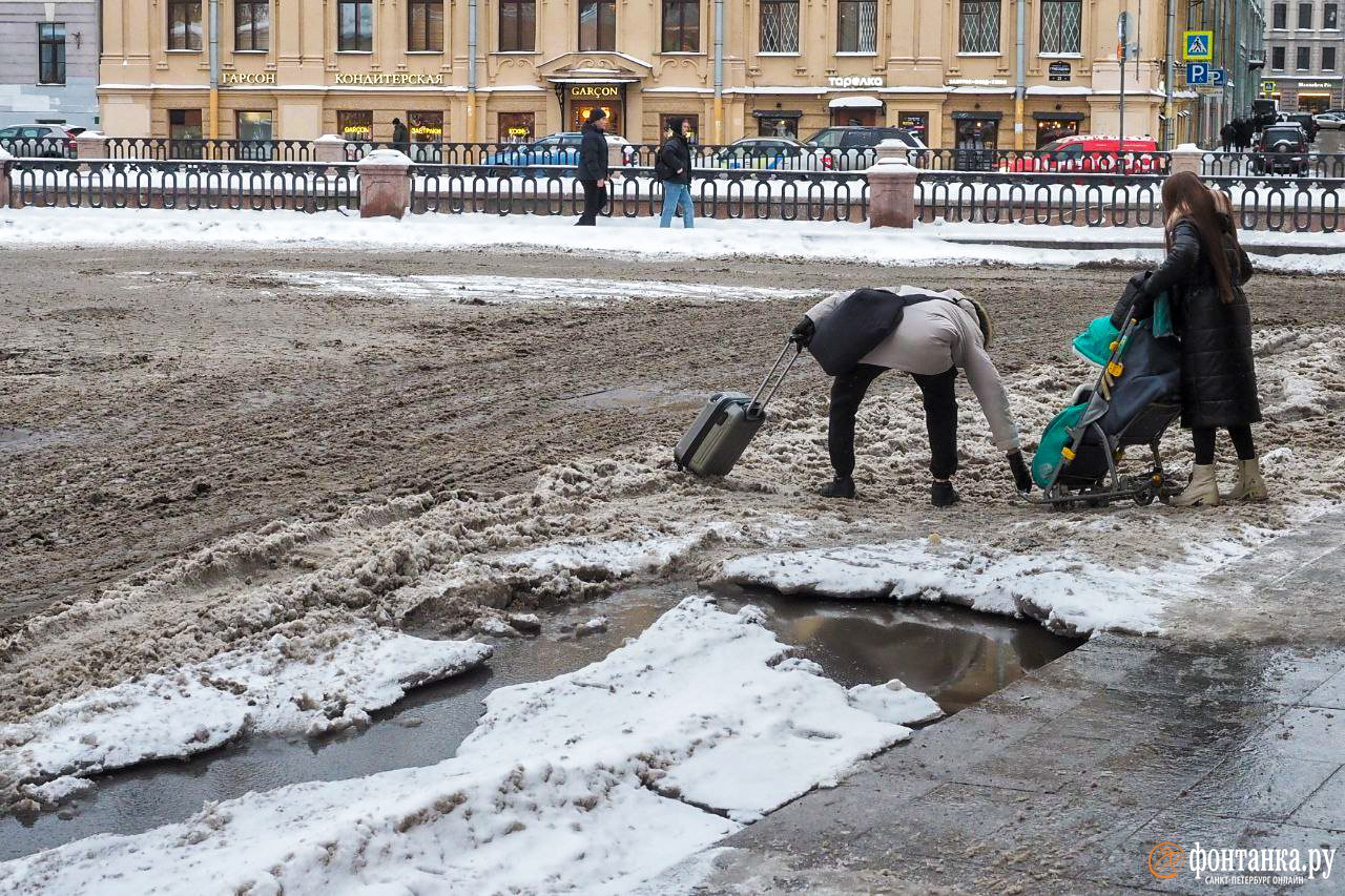 Фото: Михаил Огнев/&quot;Фонтанка.ру&quot; 