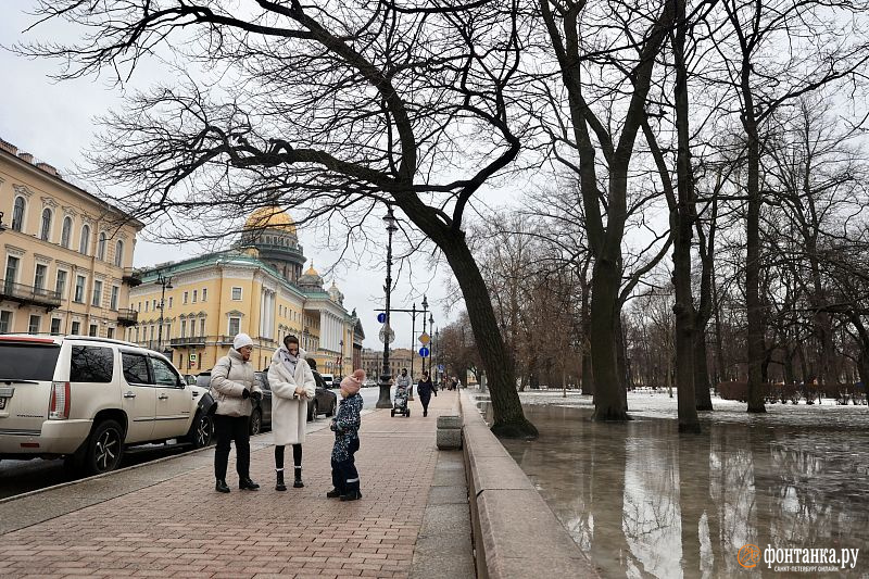 Температура в Петербурге растет, но до нормы не дотянется. Новые дожди пойдут вперемешку со снегом