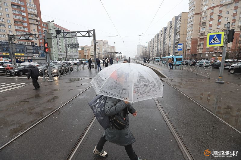 Пора доставать зимние шапки. В Петербурге холодный дождь, а затем и снег